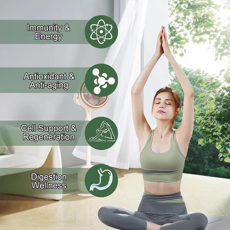 Apple Gummy Candies Factory - Food Grade Herbal Extract Water Based