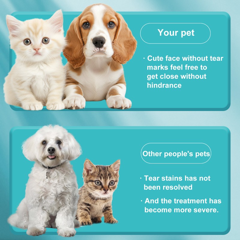 Pet Tear Stain Relief Liquid Manufacturer - Oral Supplement Heat Removal for Pets