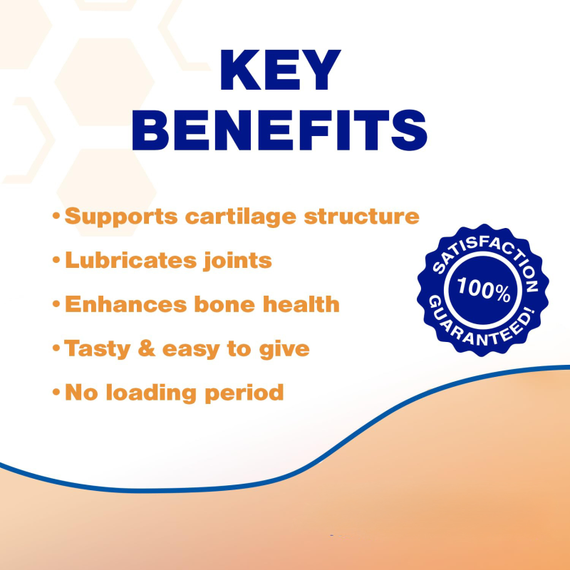 Dog Joint Care Tablets Factory - Chewable Nutritional Support Premium Health