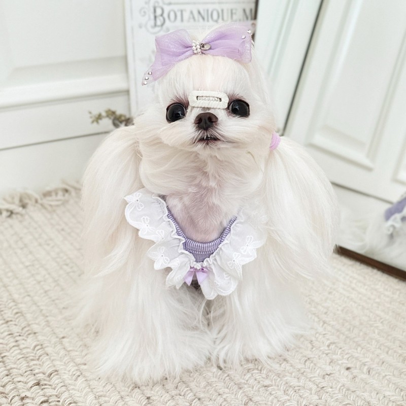 Pet Home Clothes Manufacturer - OEM Warm Floral Lace