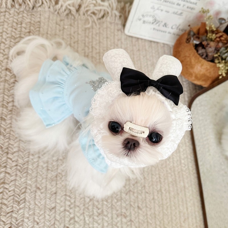 Pet Hat Manufacturer - OEM Rabbit Ears Lace Cosplay