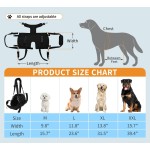 Pet Cages & Carriers