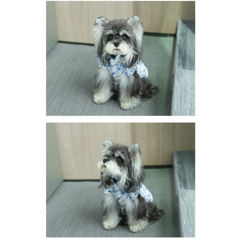 Dog Vest Manufacturer - OEM Simple Style Printed Winter