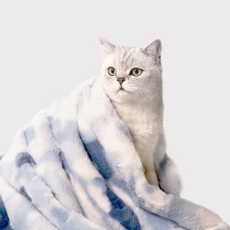 Pet Blanket Factory - OEM Eco-Friendly Flannel Fleece