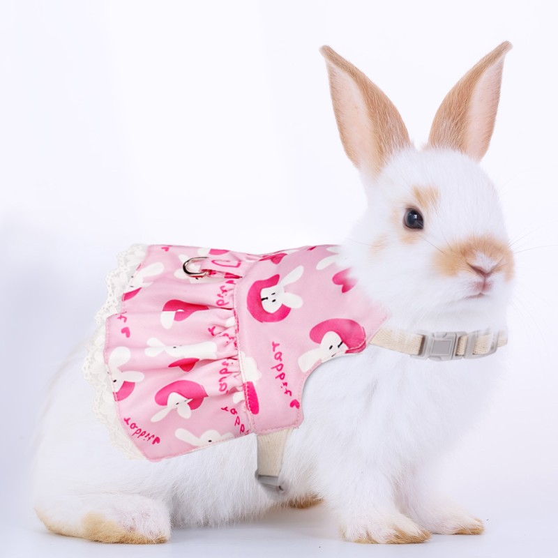 Pet Harness Set Factory - OEM Soft Bunny Elastic Leash