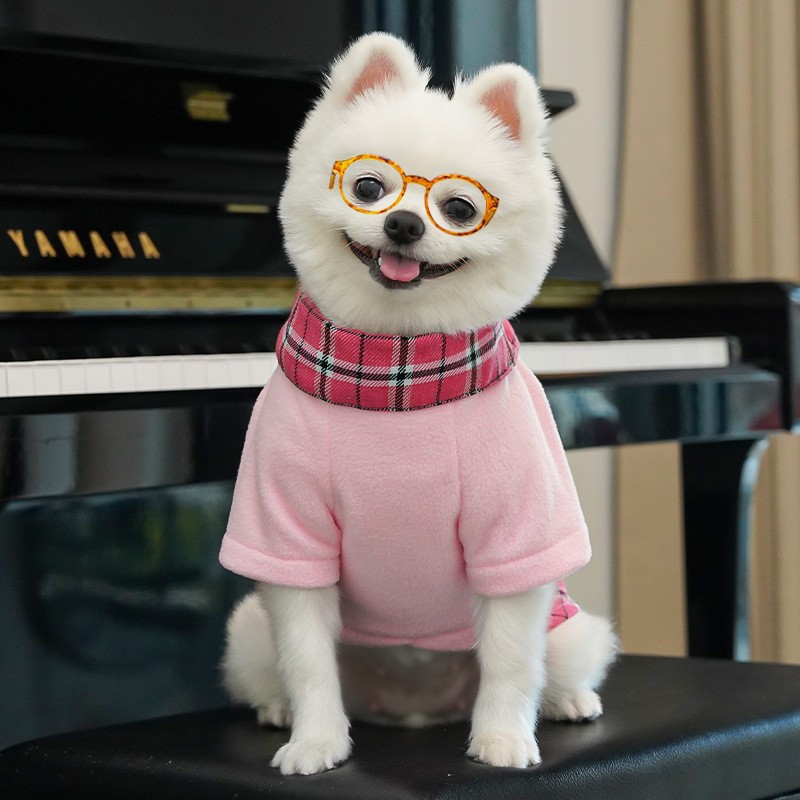 Pet Recovery Suit Factory - OEM Abdominal Wounds Surgical