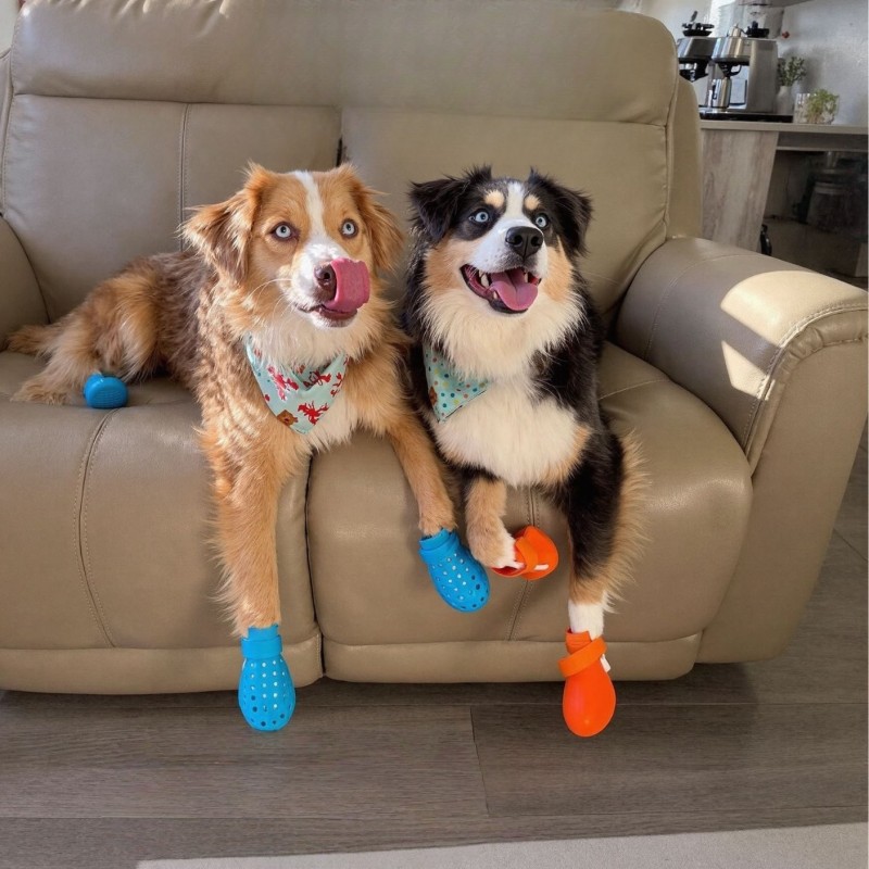 Dog Rain Booties Factory - OEM Adjustable Strap Easy Clean