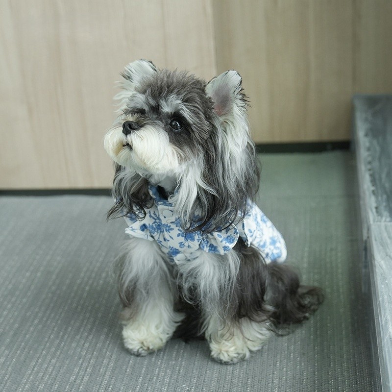 Dog Vest Manufacturer - OEM Simple Style Printed Winter