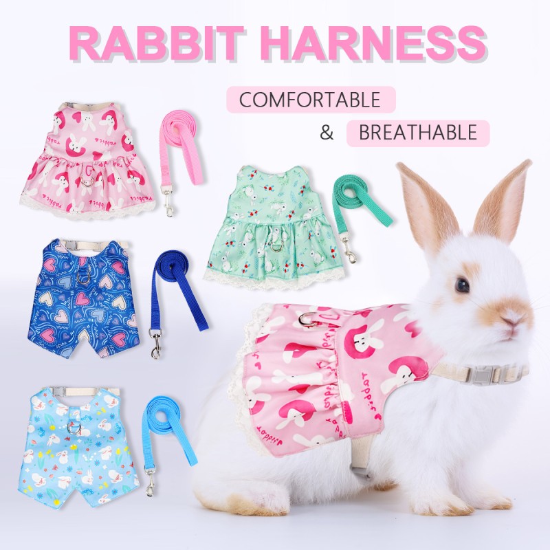 Pet Harness Set Factory - OEM Soft Bunny Elastic Leash
