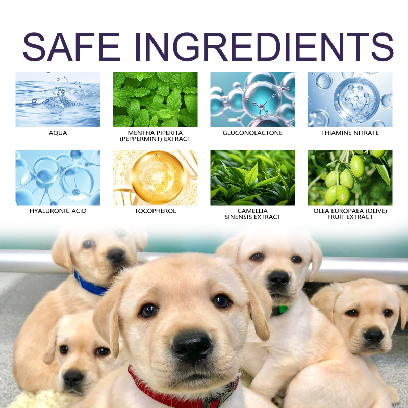 Dog Spray Manufacturer - OEM Bitter Stop Chewing Licking