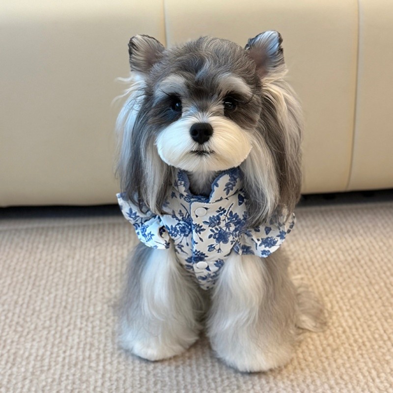 Dog Vest Manufacturer - OEM Simple Style Printed Winter