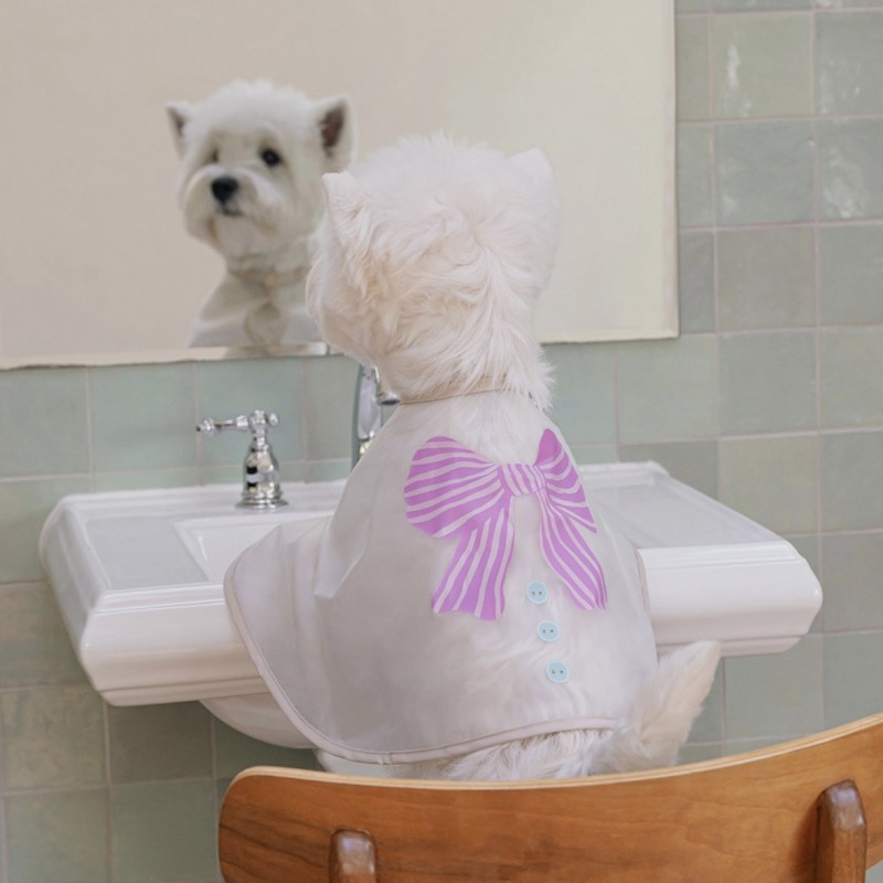 Pet Shampoo Manufacturer - OEM 2-in-1 Scented Body Wash