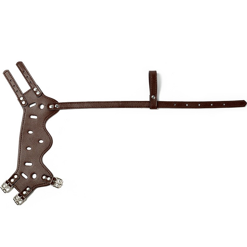 Pet Training Bag Manufacturer - OEM Outdoor Waist Hand Free