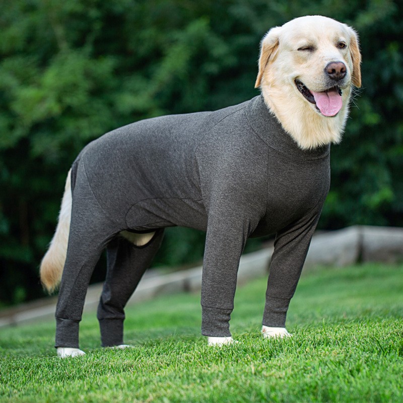 Hair Brush Manufacturer - OEM Styling Air Cushion Comb