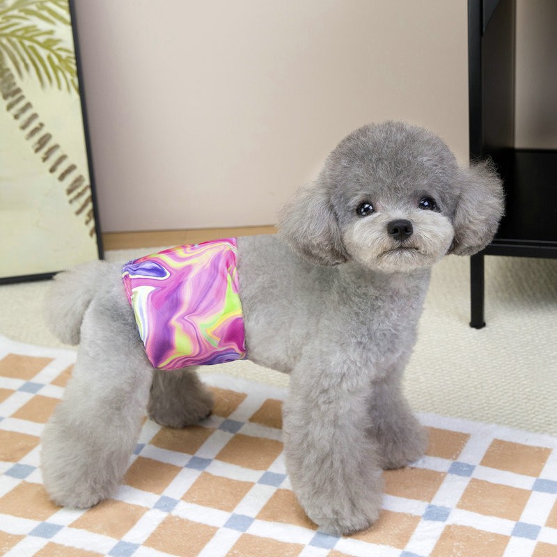 Dog Diaper Manufacturer - OEM Sanitary Washable Panties