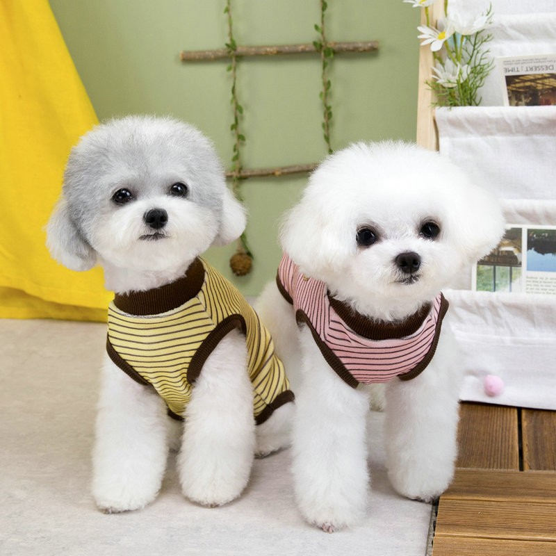 Pet Cone Collar Manufacturer - OEM Extra Soft Breathable