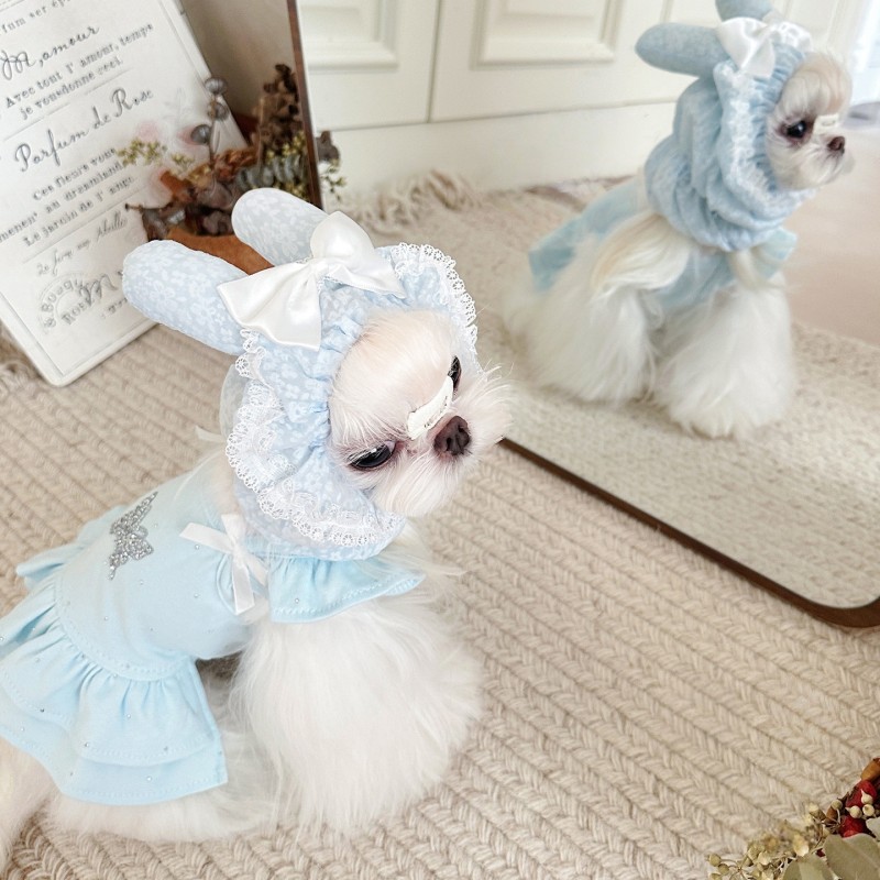 Pet Hat Manufacturer - OEM Rabbit Ears Lace Cosplay