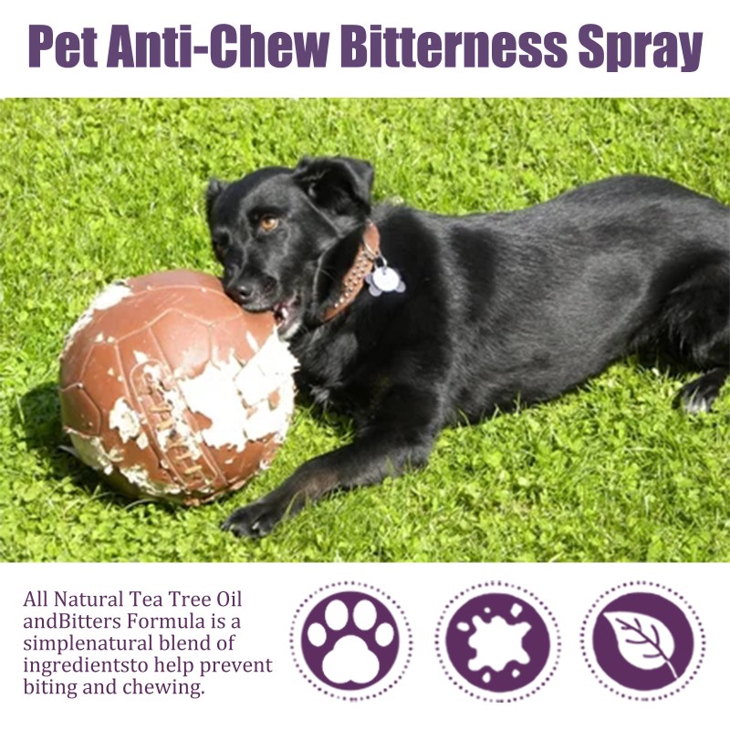 Dog Spray Manufacturer - OEM Bitter Stop Chewing Licking