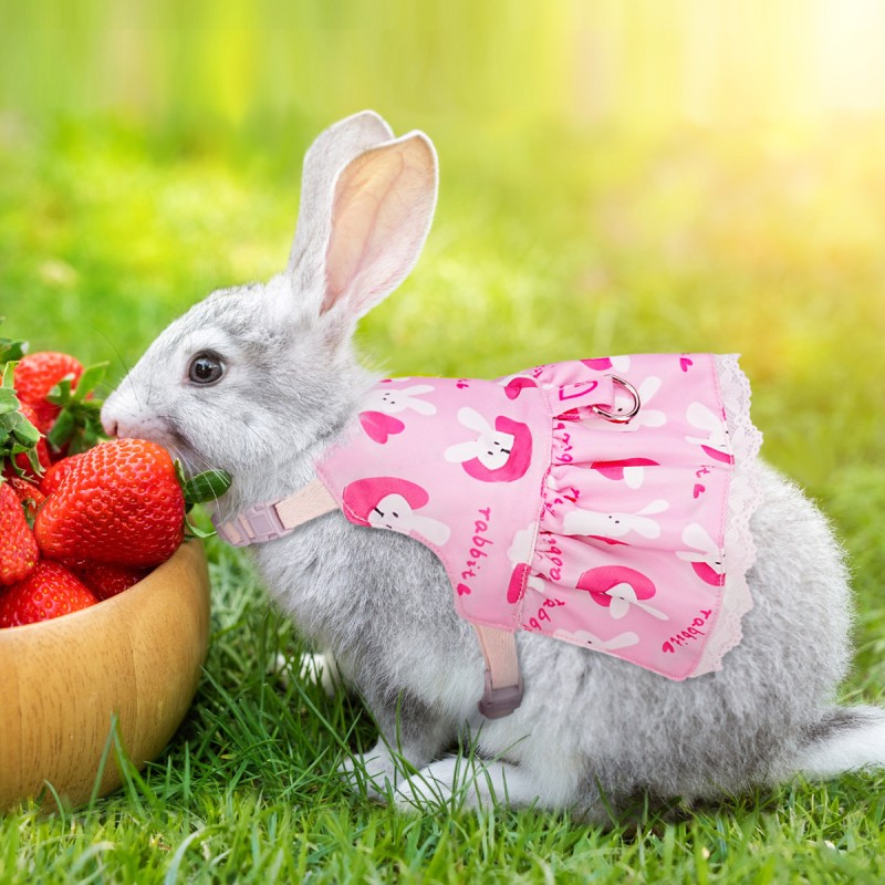 Pet Harness Set Factory - OEM Soft Bunny Elastic Leash