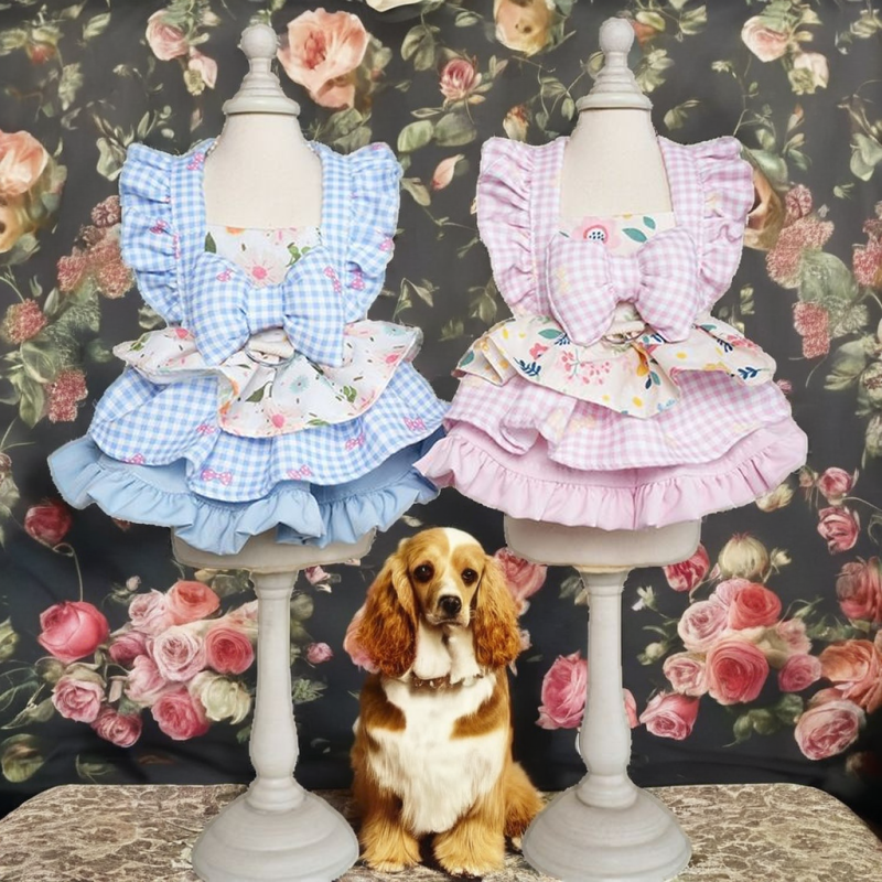 Pet Chew Toy Manufacturer - OEM Eco-Friendly Cotton TPR