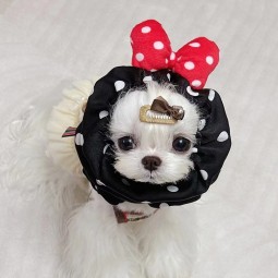 Pet Headwear Manufacturer - OEM Summer Polka Dot Bow