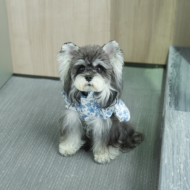 Dog Vest Manufacturer - OEM Simple Style Printed Winter