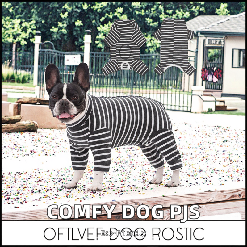 Pet Training Bag Manufacturer - OEM Breathable Waist Fanny