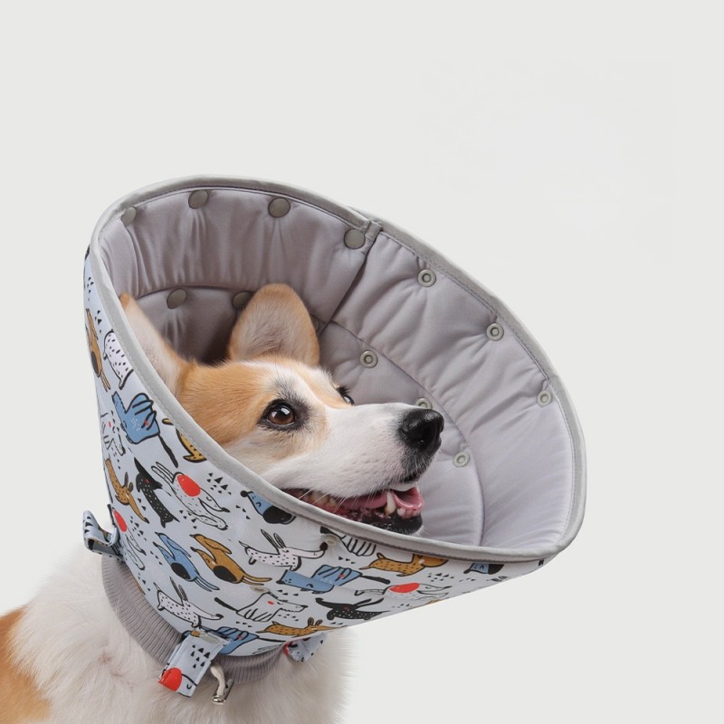 Pet Recovery Suit Factory - OEM Pajama After Surgery