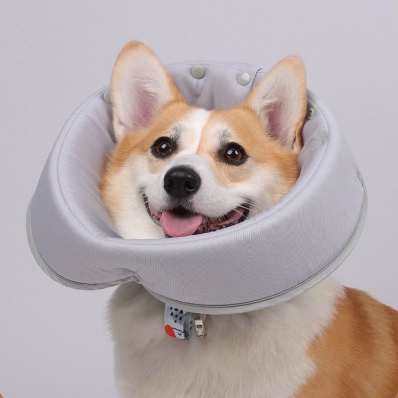 Pet Recovery Suit Factory - OEM Pajama After Surgery