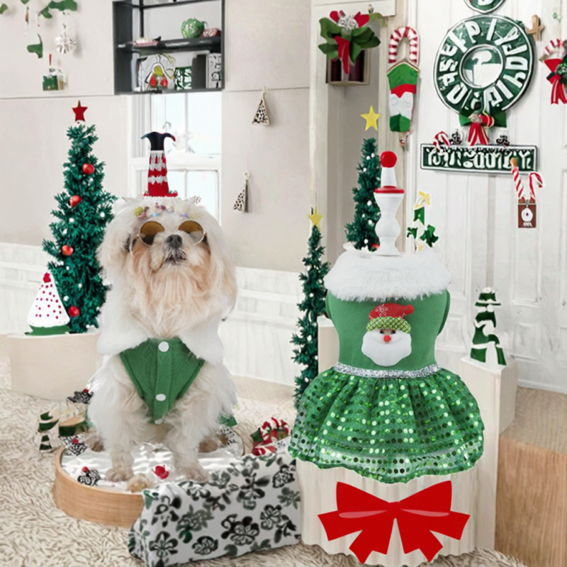 Dog Chew Toy Manufacturer - OEM Eco-Friendly Rubber Bone