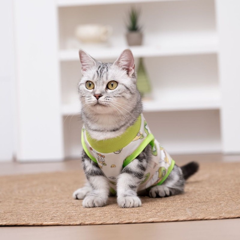 Pet Clothes Factory - OEM Big Thin Four Legged Weaning