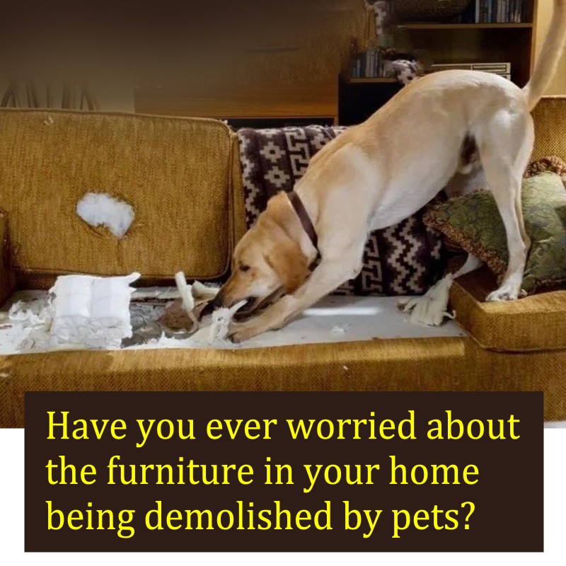 Dog Spray Manufacturer - OEM Bitter Stop Chewing Licking