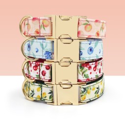 Dog Collar Manufacturer - OEM Fruit Pattern Blueberry Bowtie