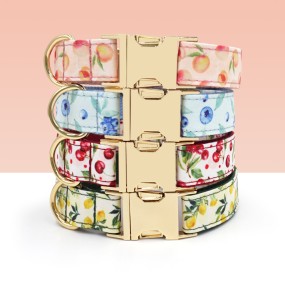 Dog Collar Manufacturer - OEM Fruit Pattern Blueberry Bowtie