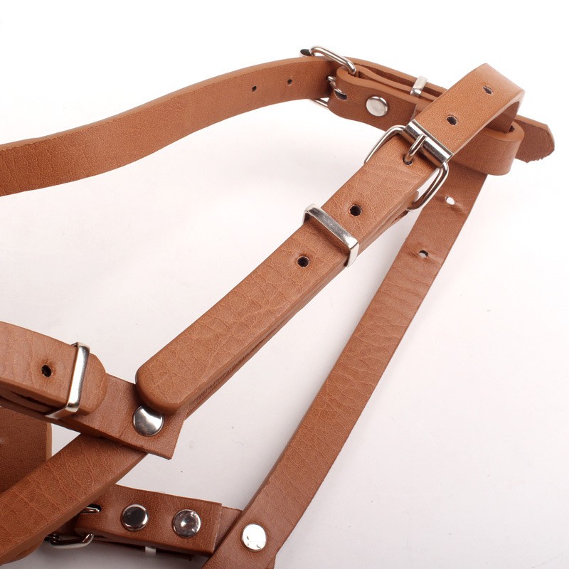 Pet Training Bag Factory - OEM Multi-functional Waist Pack