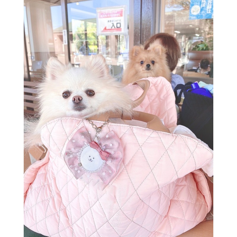 Dog Carrier Manufacturer - OEM Multi Function Booster Seat