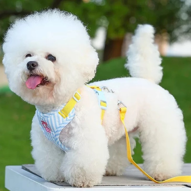 Pet Harness Manufacturer - OEM Lightweight Soft Adjustable