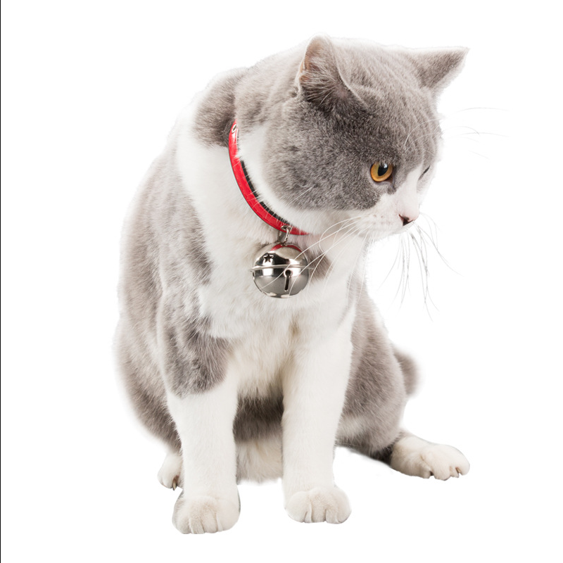 PU Pet Collar Supplier - Wholesale Fashionable High Quality Anti-lost Decoration