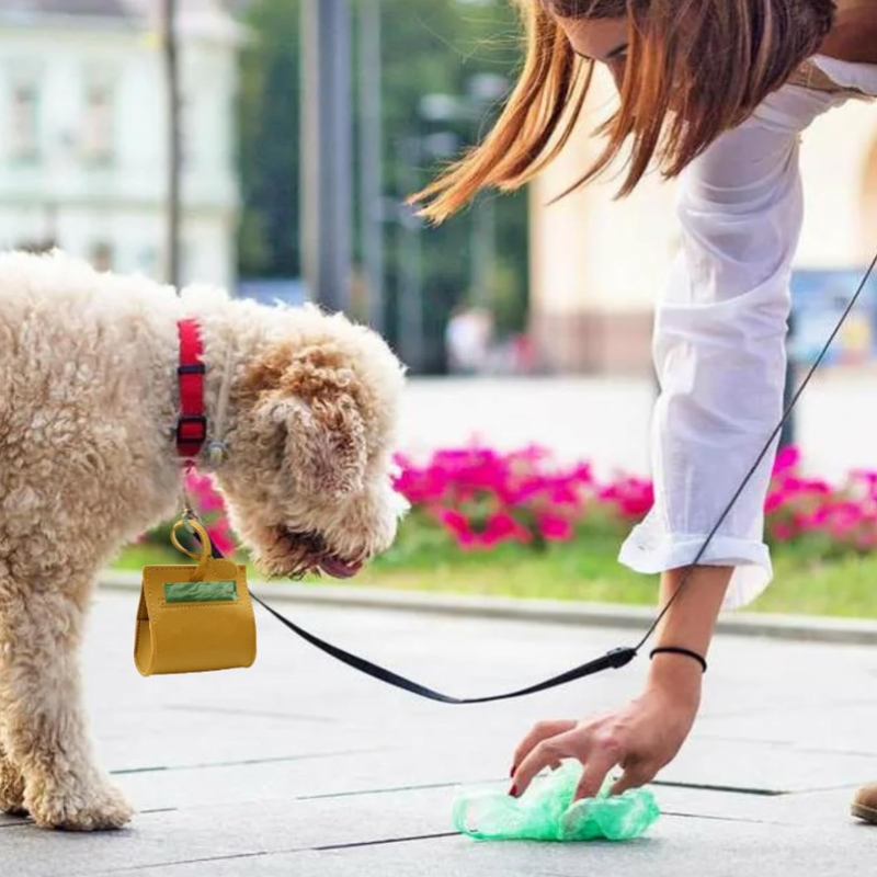 Dog Waste Bag Holder Factory - Ready Stock PU Leather Simple Style Leash