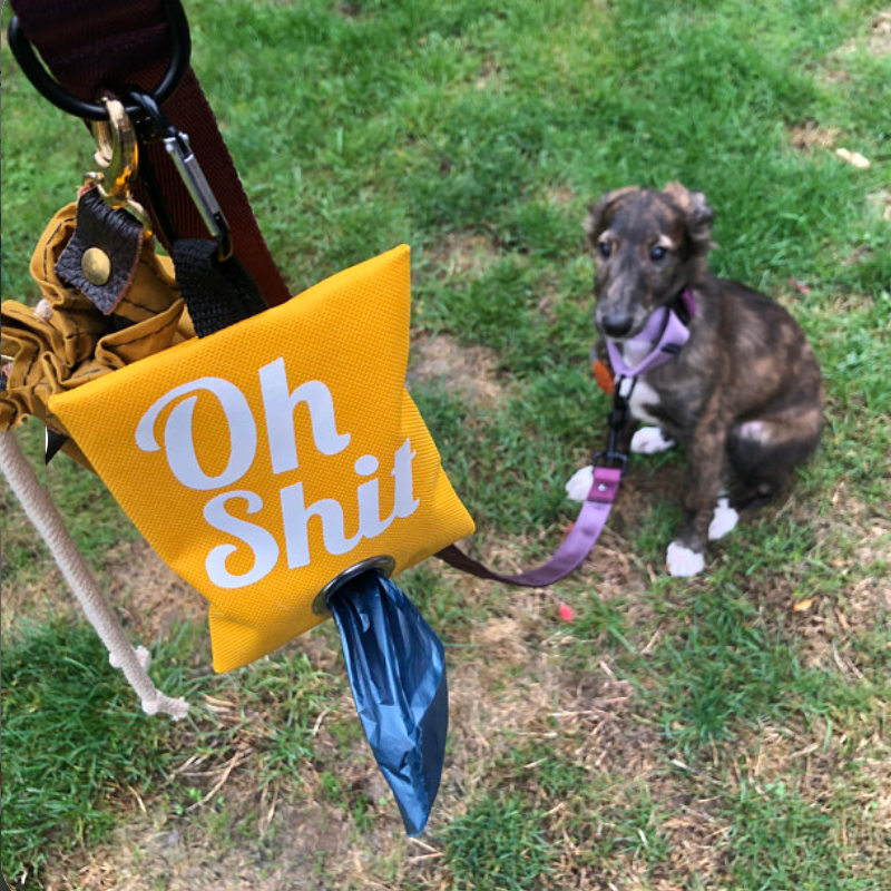 Dog Poop Bag Dispenser Manufacturer - Cute Holy Shit Waste Pouch for Leash