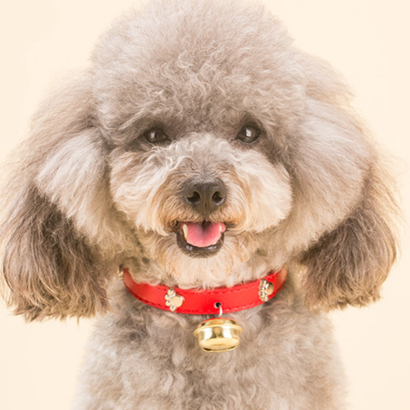 PU Pet Collar Supplier - Wholesale Fashionable High Quality Anti-lost Decoration