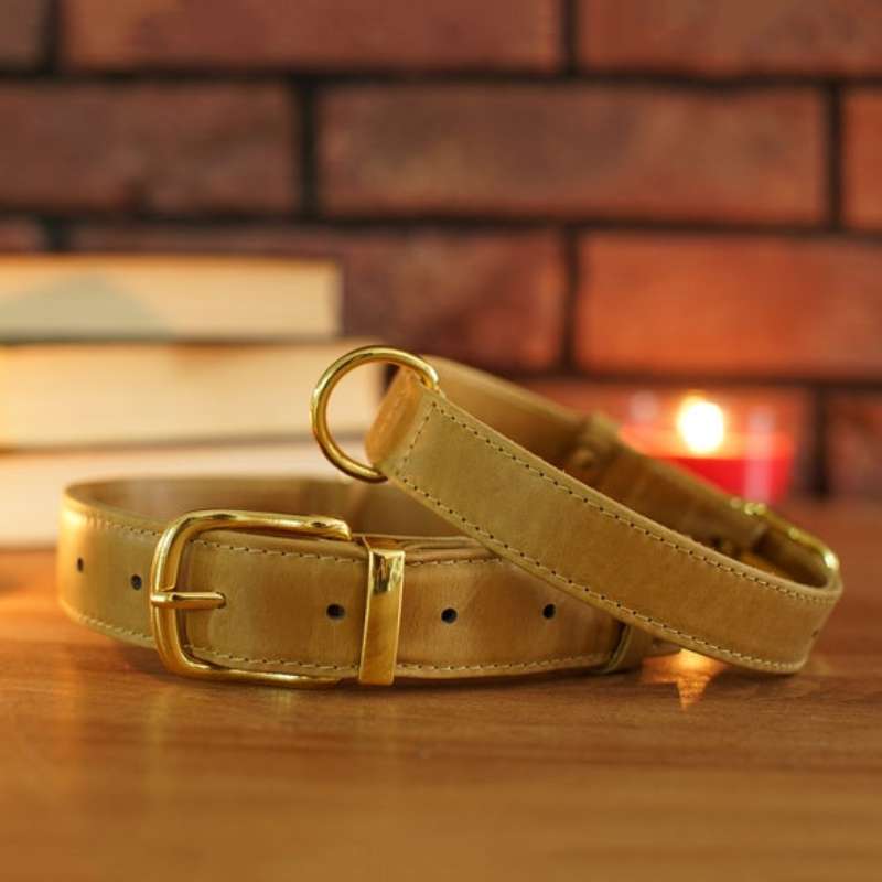 Pet Collar Manufacturer - Factory Designer Luxury Leather Name Plate Dog