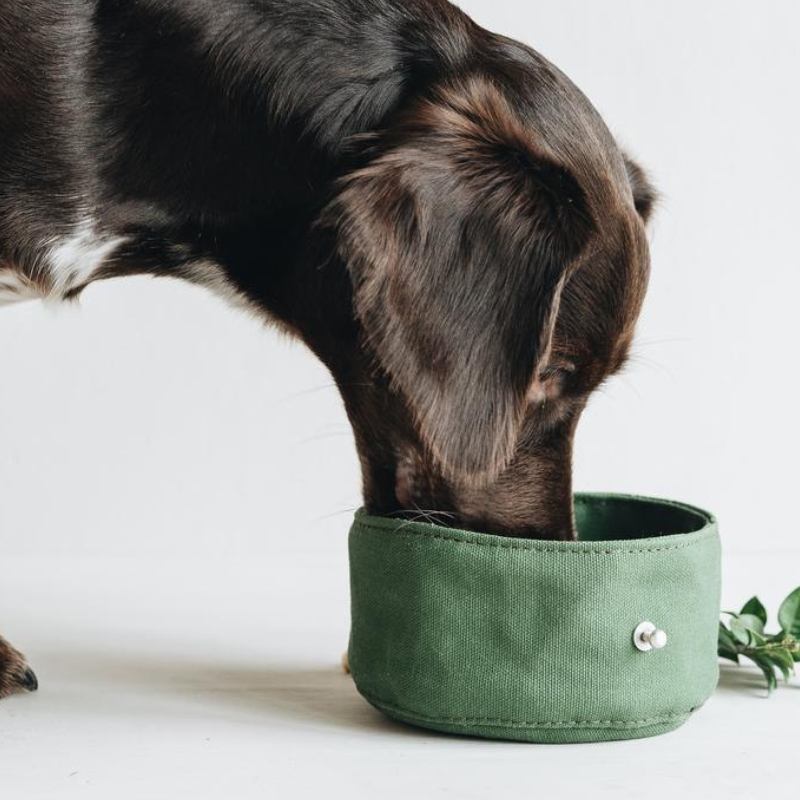 Dog Food Carry Bag Supplier - Foldable Waterproof Handmade Waxed Canvas