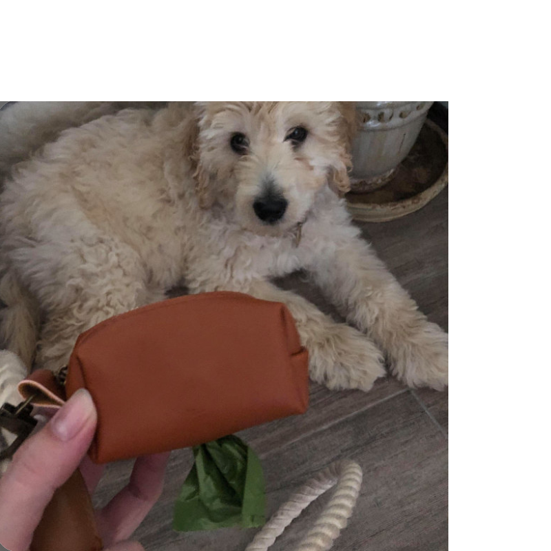 Pet Waste Bag Dispenser Factory - Hand Made PU Leather Fast Delivery Dog