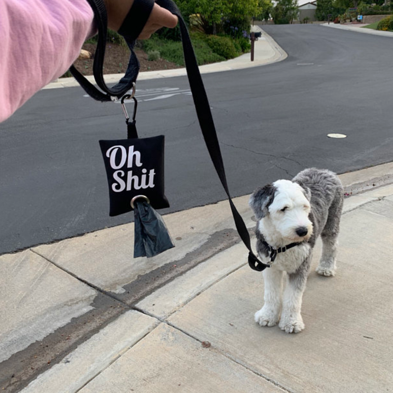 Dog Poop Bag Dispenser Manufacturer - Cute Holy Shit Waste Pouch for Leash