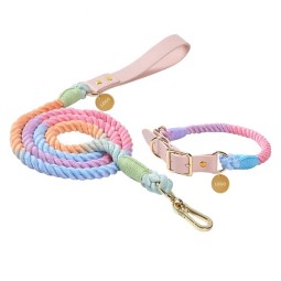 Dog Leash Set Supplier - Custom OEM Braided Leather Adjustable Luxury