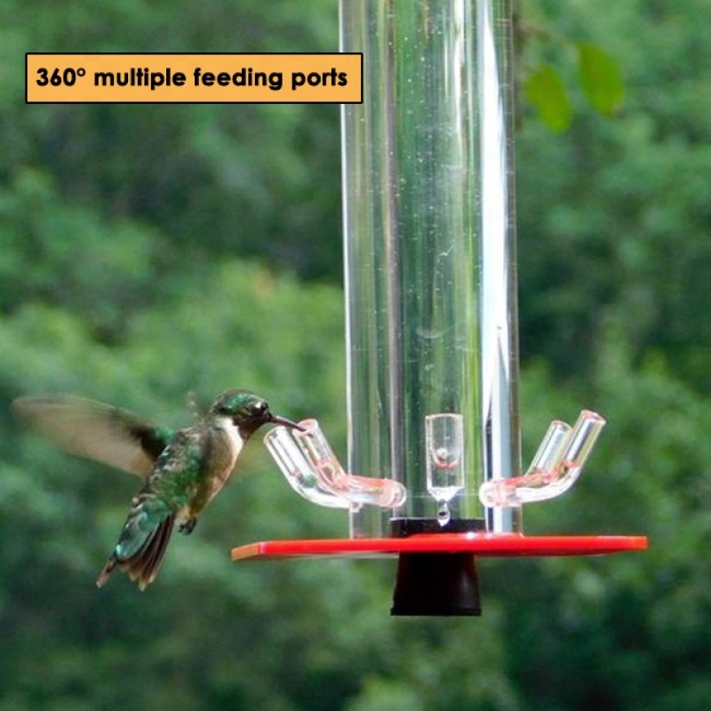 Hummingbird Feeder Supplier - Small Modern Transparent Plastic Handheld