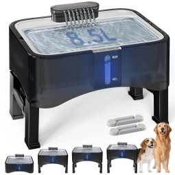 Pet Water Fountain Supplier - Elevated Stainless Steel Adjustable Ultra Quiet