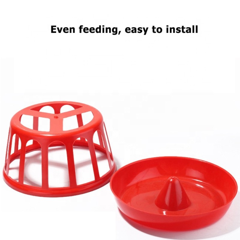 Chicken Feeder Factory - Maggot Grit Dispenser Bulk Poultry Trough