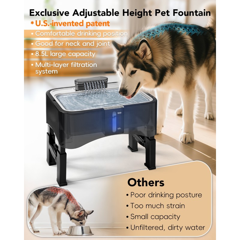 Pet Water Fountain Supplier - Elevated Stainless Steel Adjustable Ultra Quiet